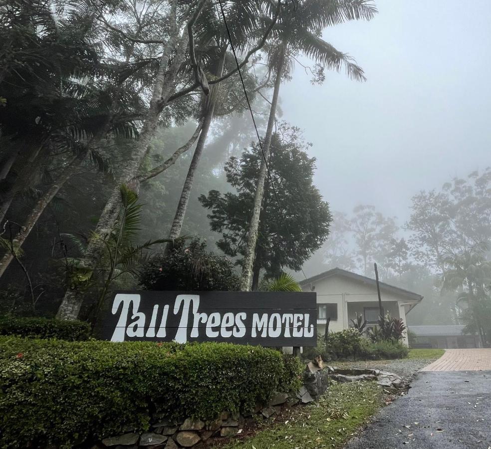 Tall Trees Motel Mountain Retreat Mount Tamborine Exterior foto