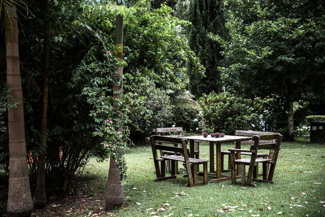 Tall Trees Motel Mountain Retreat Mount Tamborine Exterior foto